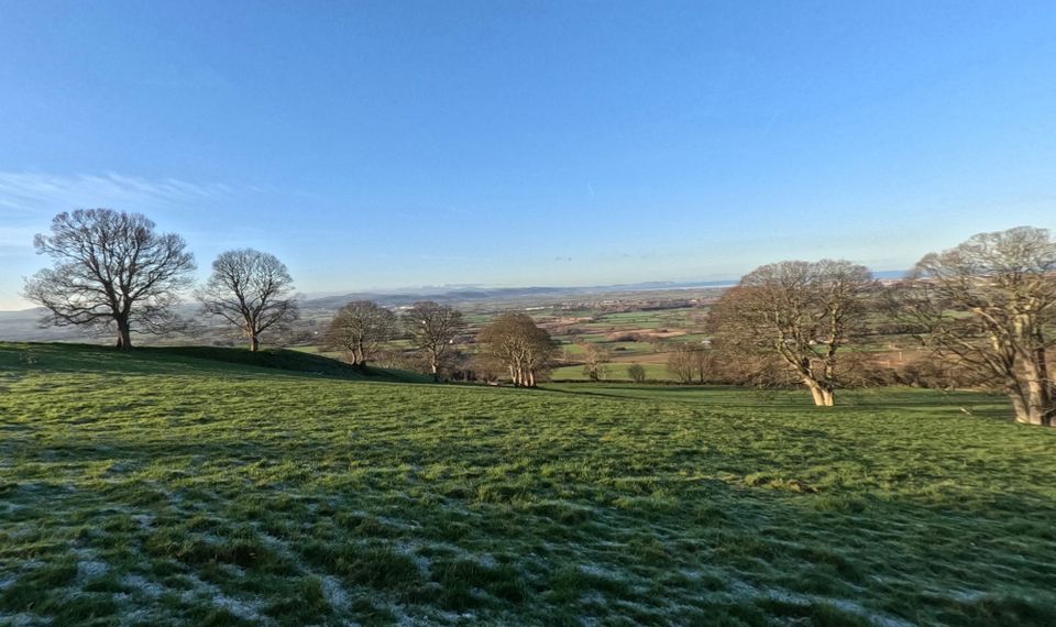 Photo Journal 21 - 28 December 2025