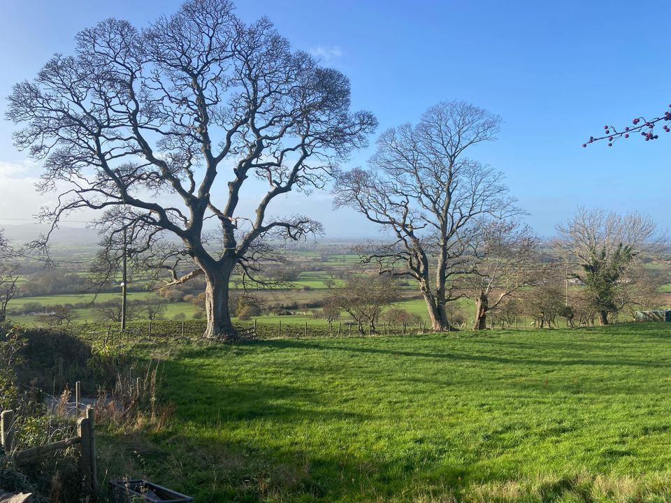 Photo Journal - 7 - 13 December