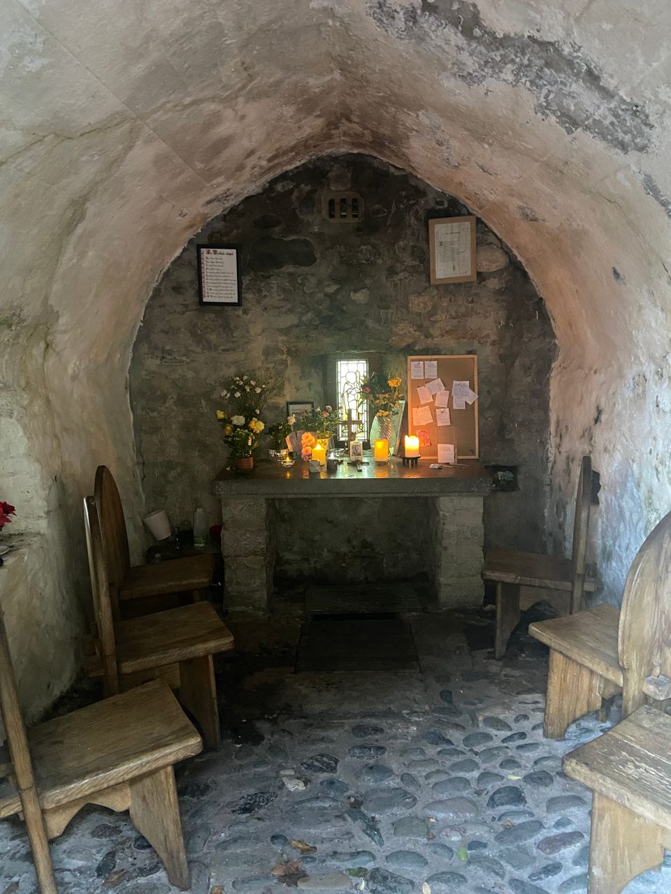 Photo Journal 21 - 28 November 2025