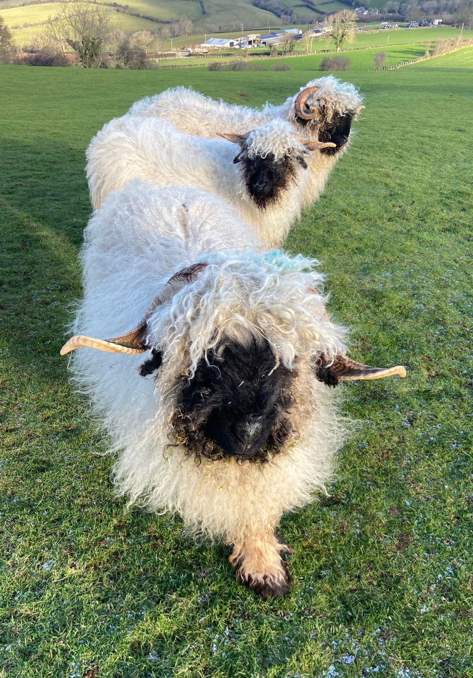 Photo Journal 28 December - 3 January