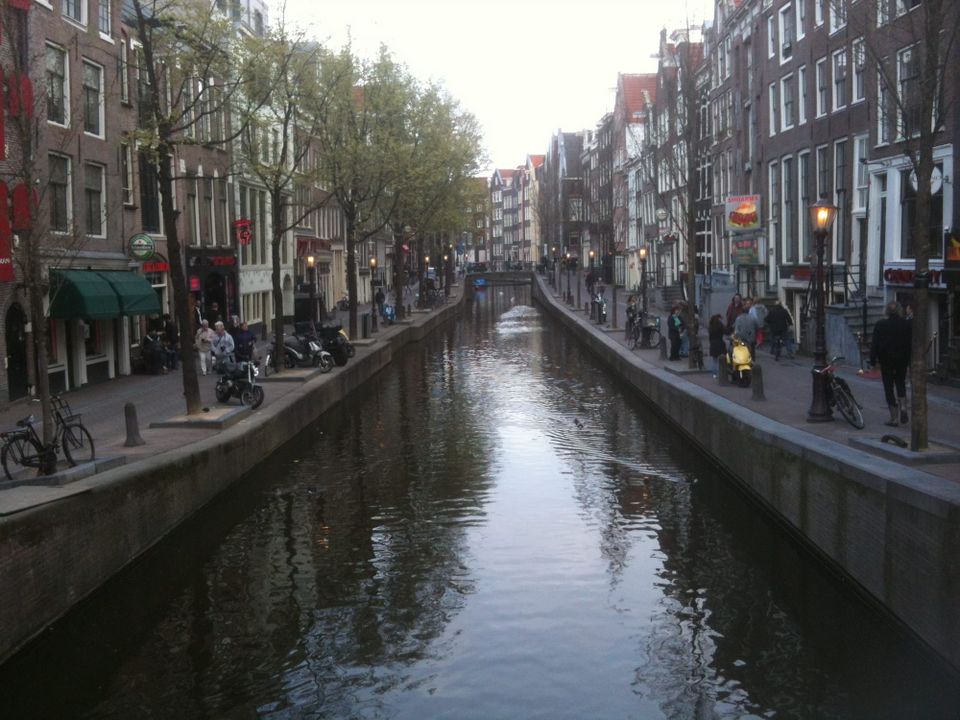 🌿 Freedom as a Kind of Currency