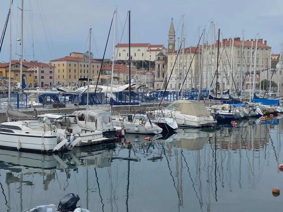 Matilda on Tour - Three Weeks on the Road — Settling into Nomadic Life 🚐