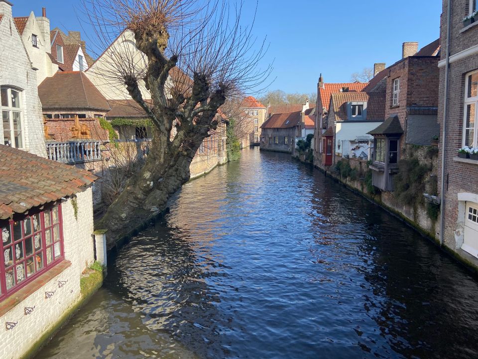 Matilda on Tour — From Wobble to Wandering