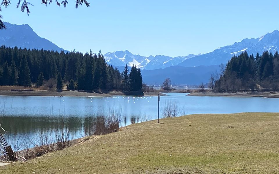 Matilda on Tour - Through the Alps — Lakes, Mountains and Unexpected Stops