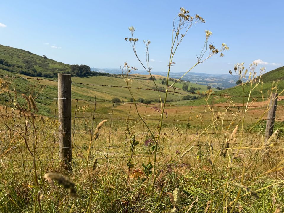Photo Journal - Buzzards, Bikes and Blue Skies.