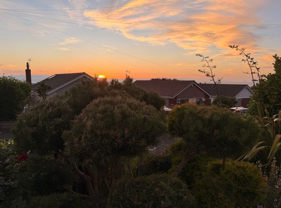 Four Weeks Home: The Adventure Has Changed Shape
