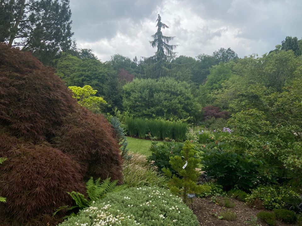 RHS Harlow Carr