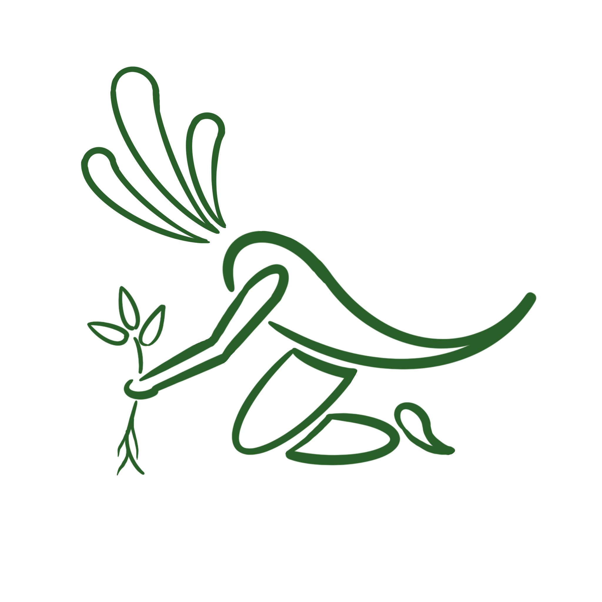 The Unusual Gardener