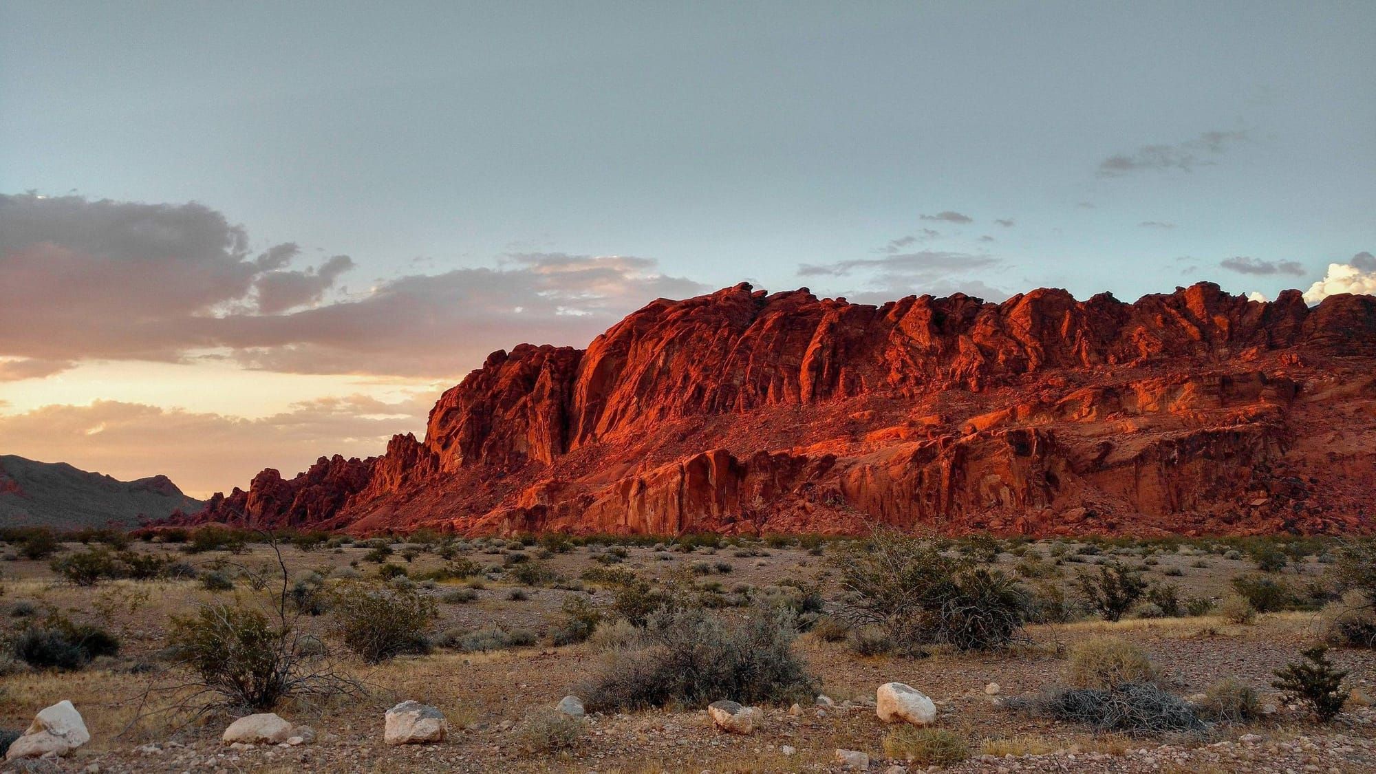 The Southwest's Plus-Size Cousin is Worth Its Weight in Buried Silver