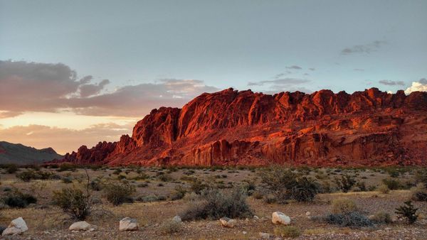 The Southwest's Plus-Size Cousin is Worth Its Weight in Buried Silver