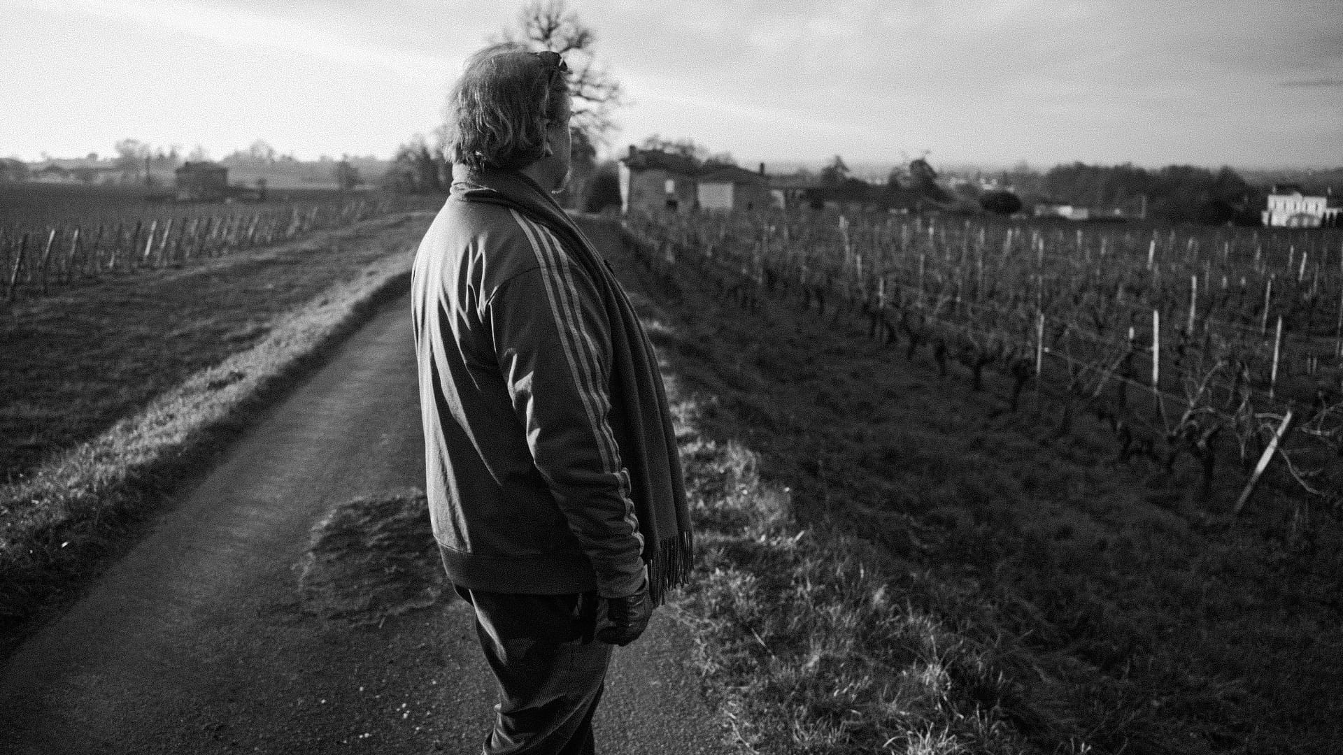 Tales of the Wine World