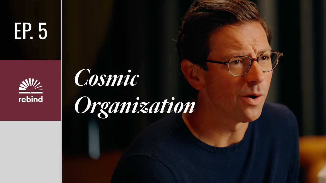 Cosmic Organization