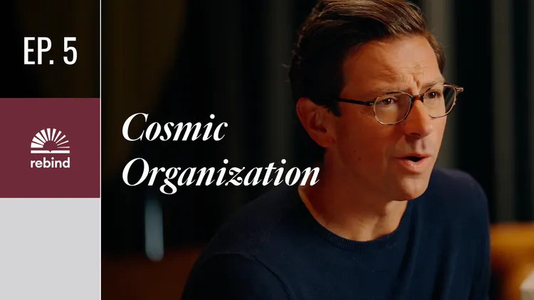 Cosmic Organization