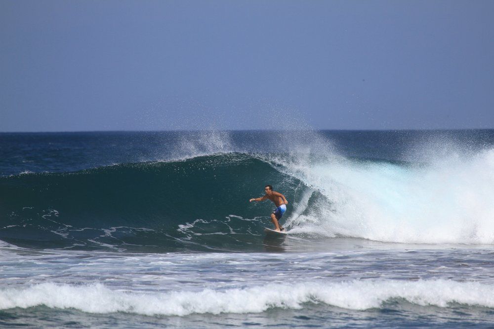 Comisarios de cinco estrellas - Vitor Fortunato