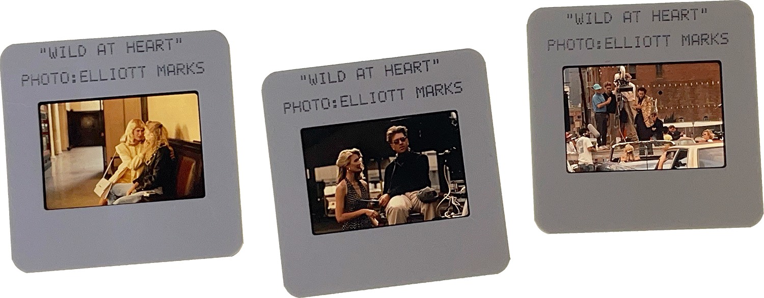 WILD AT HEART slides; photos by Elliott Marks.