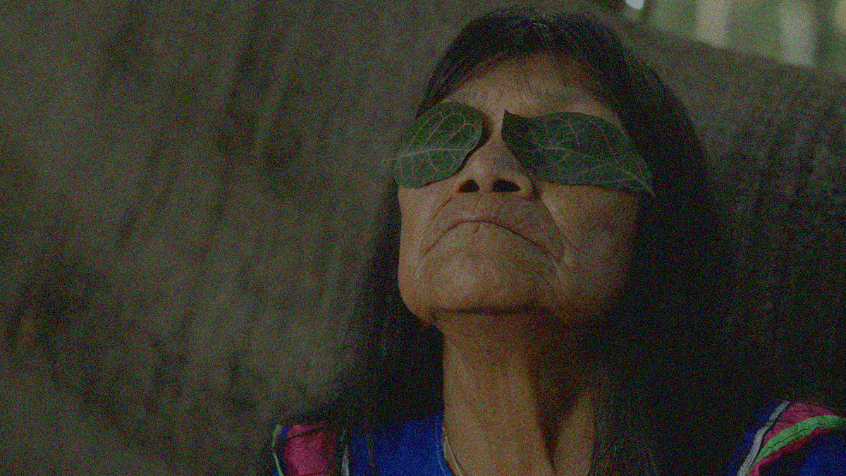 Close-up of an older woman's face resting against the back of a couch. Her eyes are covered by leaves.