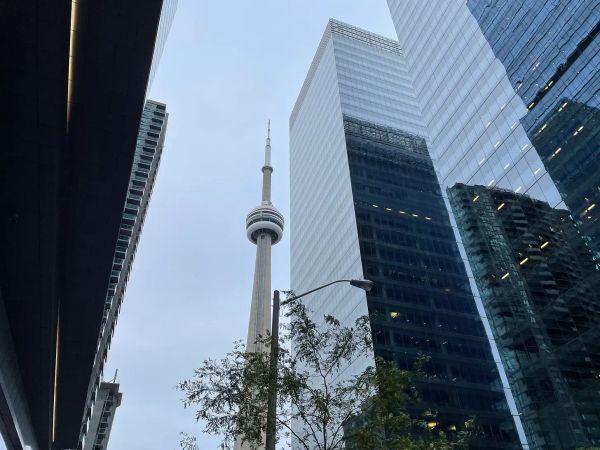 TIFF 2023: Day Three