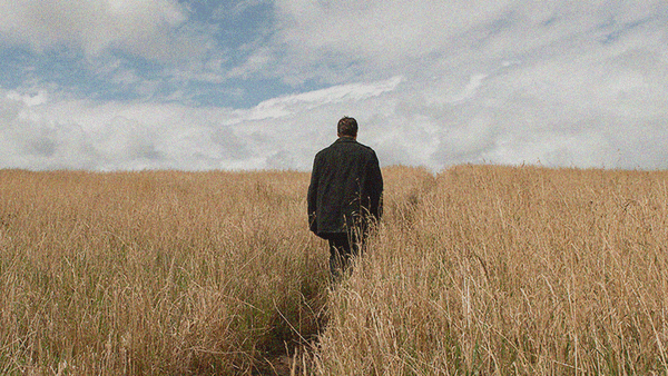 TIFF 2024: Day Seven