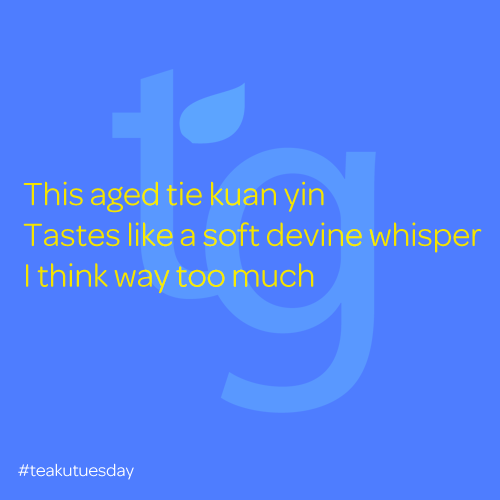 this aged tie kuan yin / tastes like a soft divine whisper / I think way too much