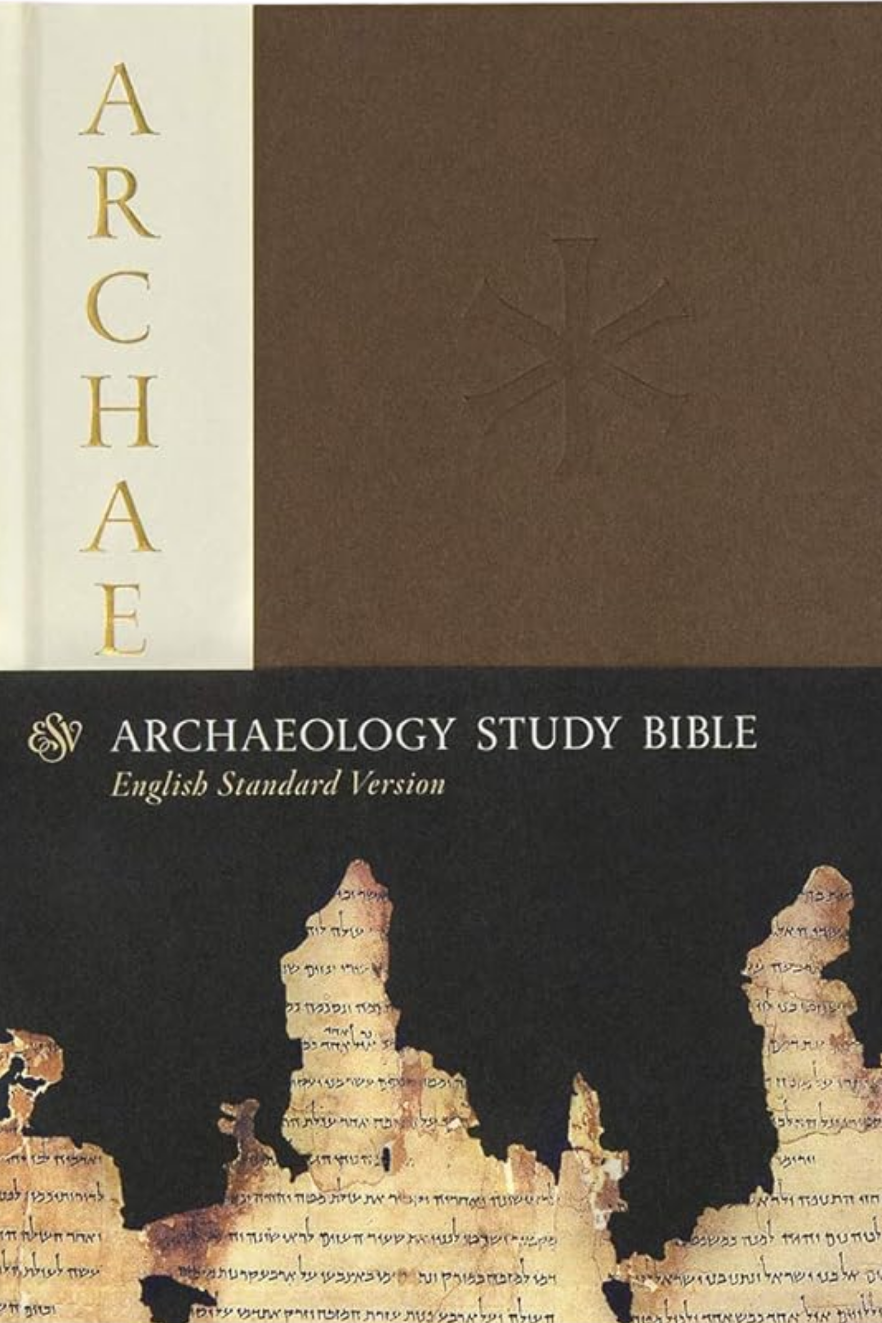 Archaeology Study Bible
