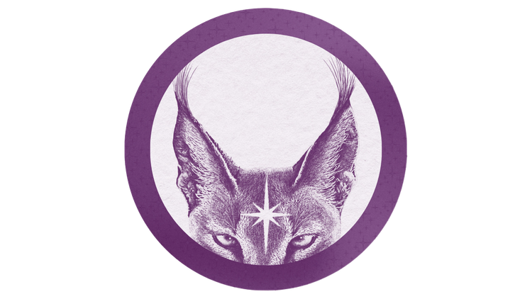 The Caracal Guide