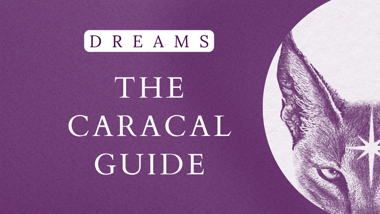 Dreams: "The Caracal Guide"