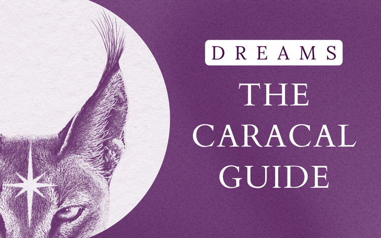Dreams: "The Caracal Guide"