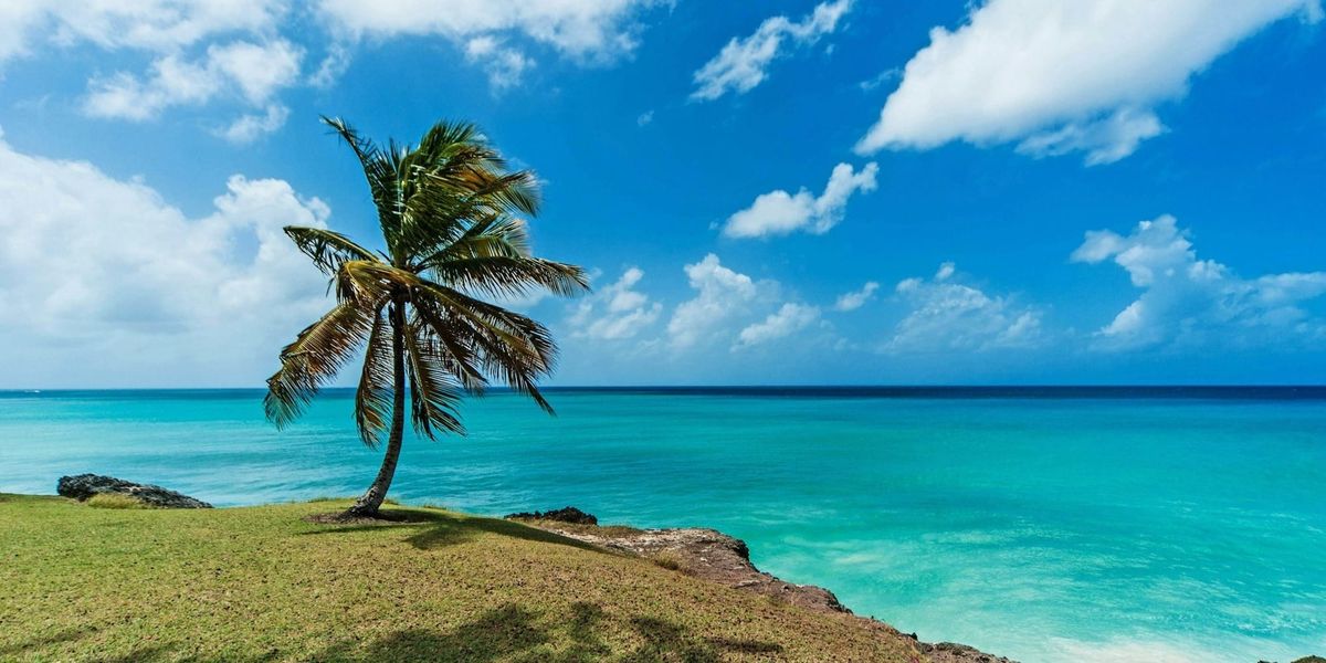 Join the Movement to Build a Stronger Barbados