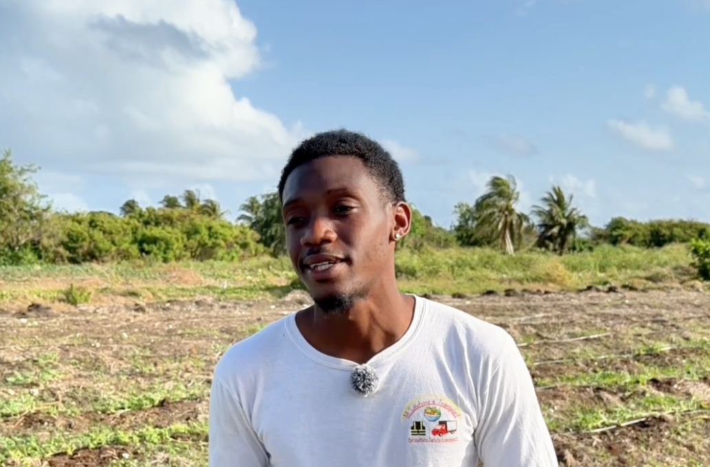 From Seed to Social Impact: How Akeel Morris and M-Farms Inspired Thousands