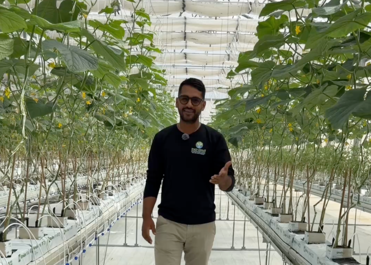 Is This the Future of Farming in Barbados? Inside INO-GRO’s High-Tech Approach to Food Security