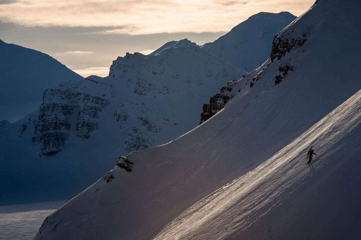 On Evaluating Risk Tolerance in Partnerships