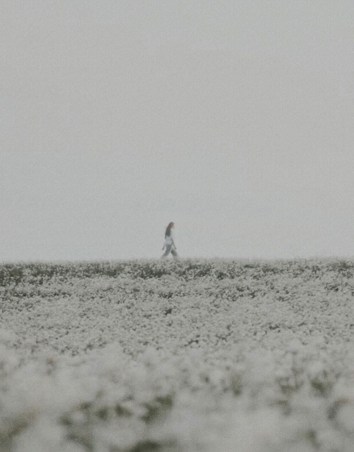 A women walking in a field | Teachings from Khawaja Shamsuddin Azeemi (RA) in Sufism.