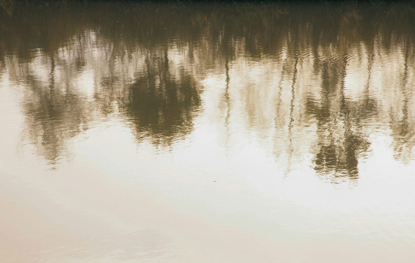 Soft tree reflections on calm water, illustrating spiritual contemplation and the wisdom of Khawaja Shamsuddin Azeemi.