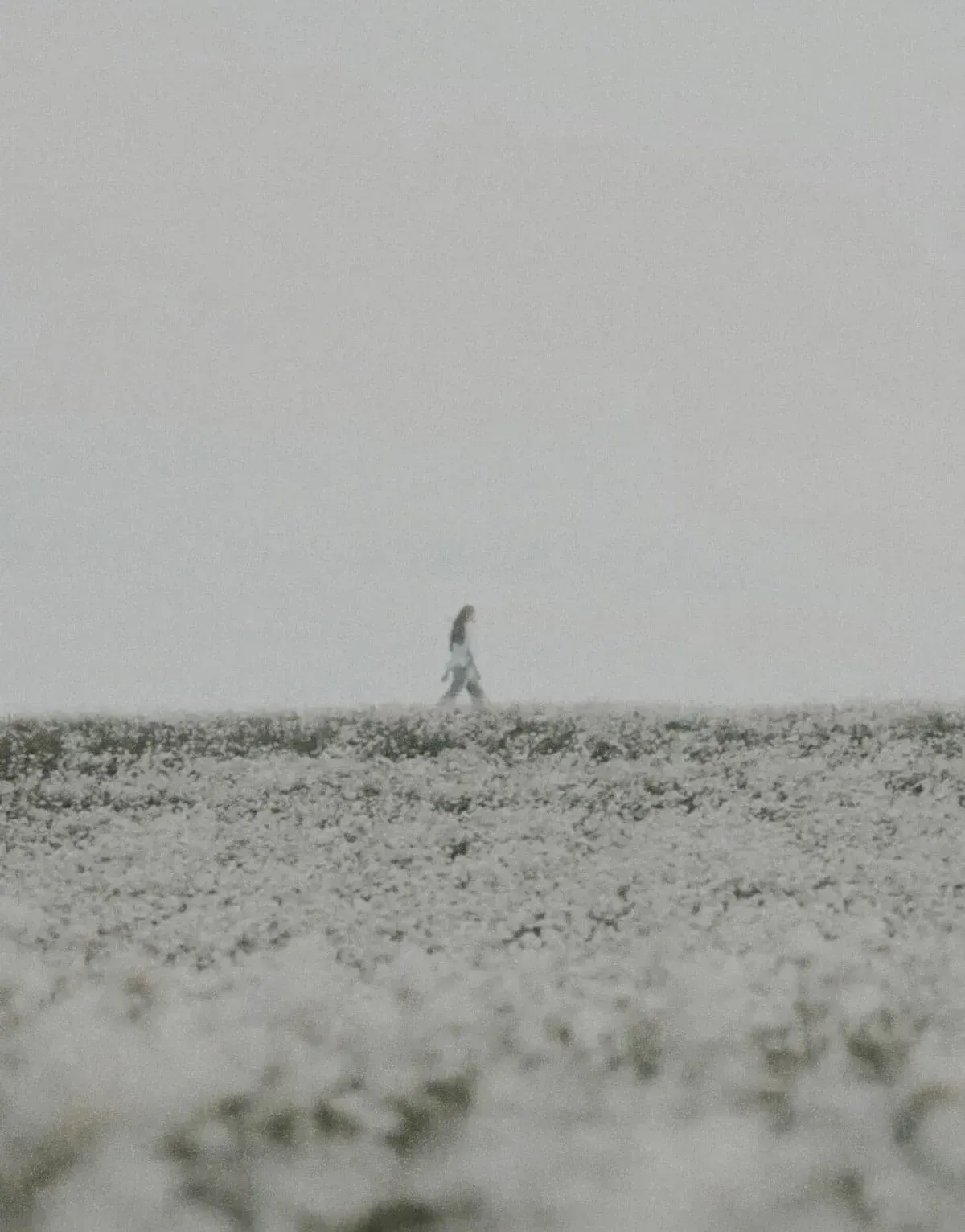 A women walking in a field | Teachings from Khawaja Shamsuddin Azeemi (RA) in Sufism.