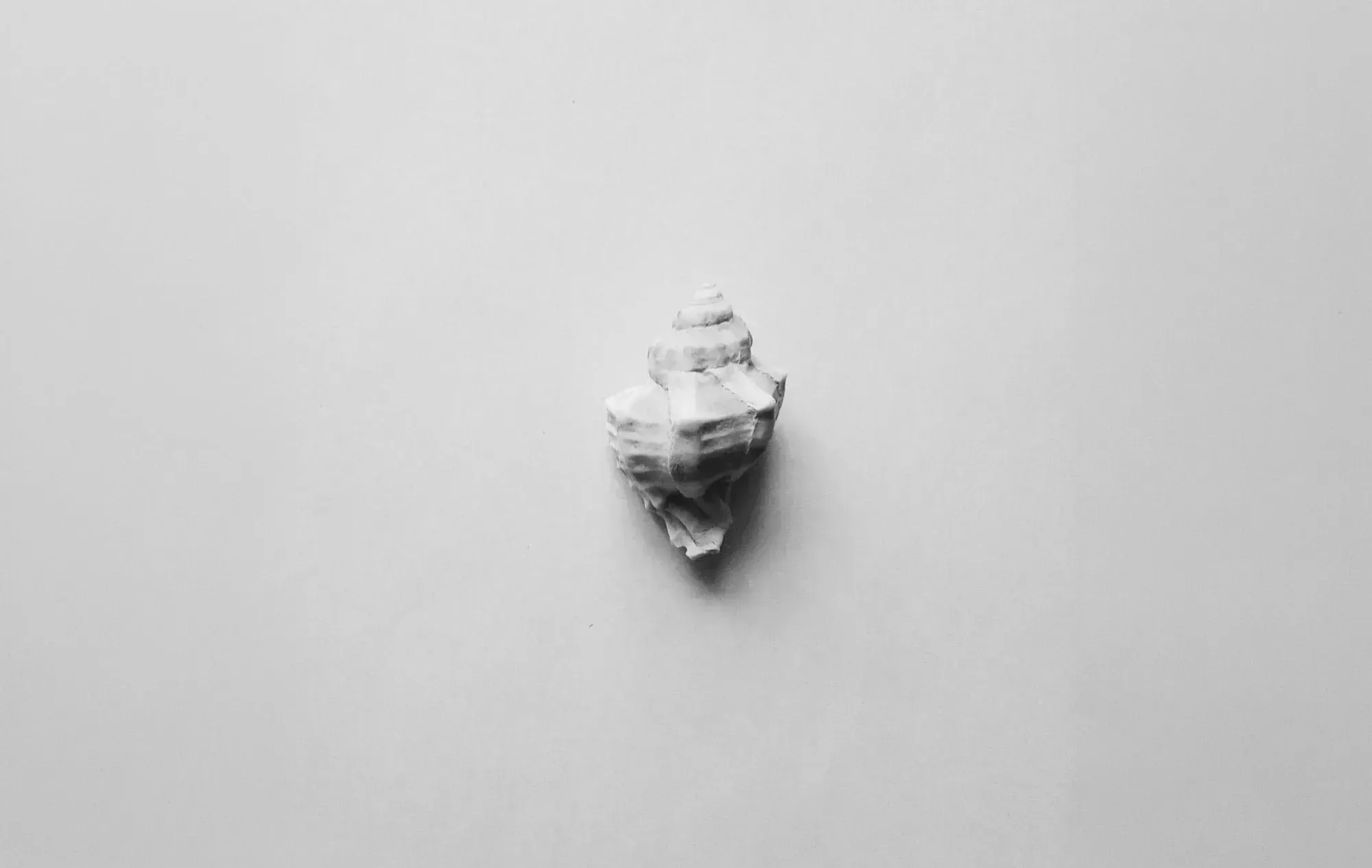 White conch shell representing spiritual stillness, inspired by the teachings of Khawaja Shamsuddin Azeemi.