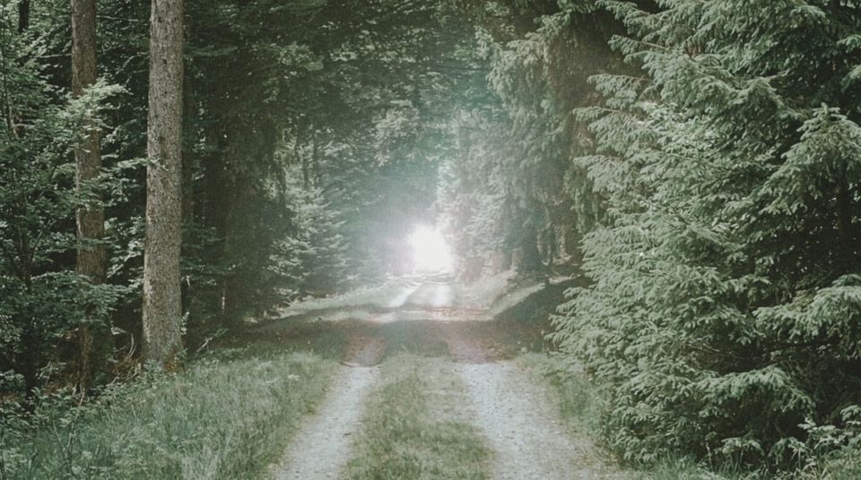 Light at the end of a forest trail | From the teachings of Khawaja Shamsuddin Azeemi (RA)