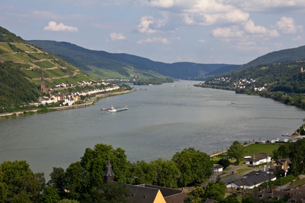 Vineyards on the Rhine Gorge near Bacharach