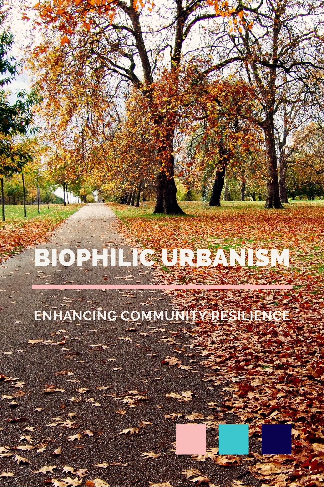 Trees during autumn in London