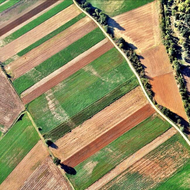 Passing Over Fields in Catalonia