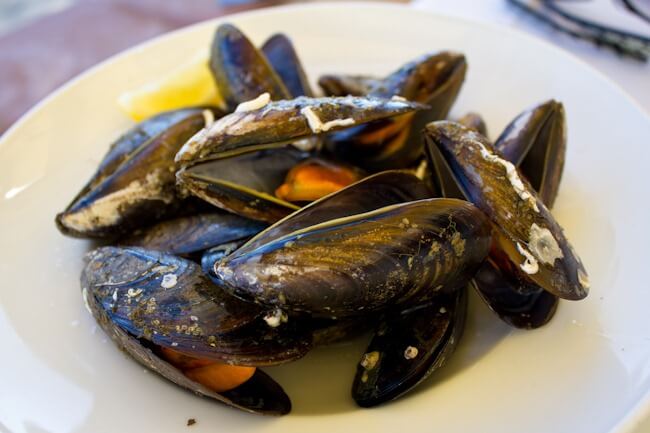 Still not a fan of mussels but they look pretty!