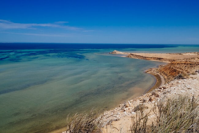 Sharks Swimming at Eagle Bluff