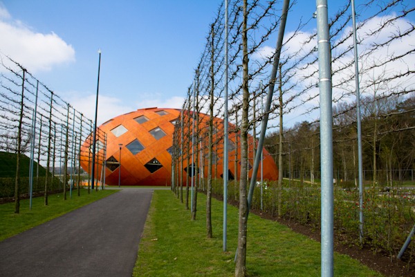 I love espaliered trees!