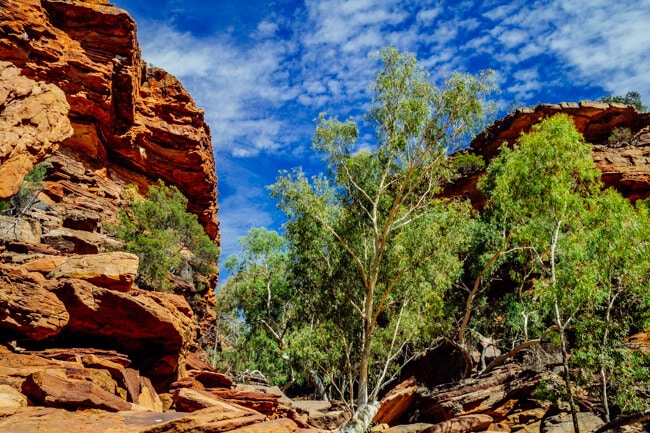 Kalbarri Sandstone Gorge