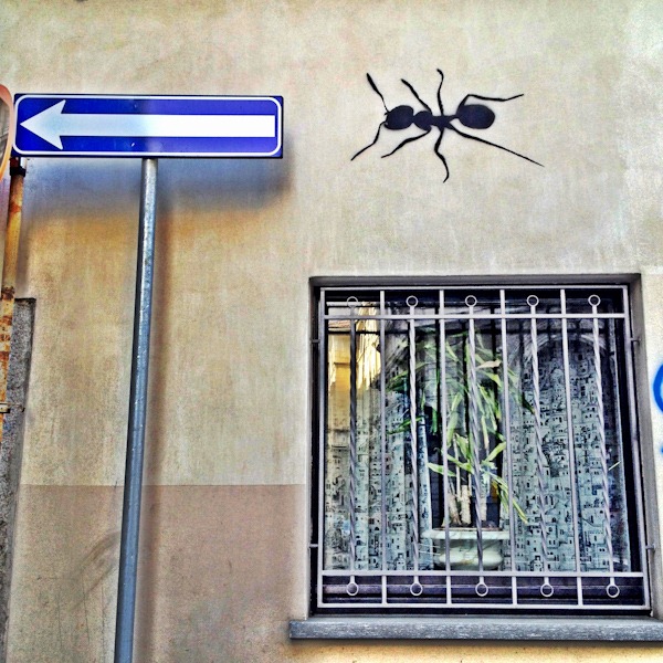 Street art and weird curtains.