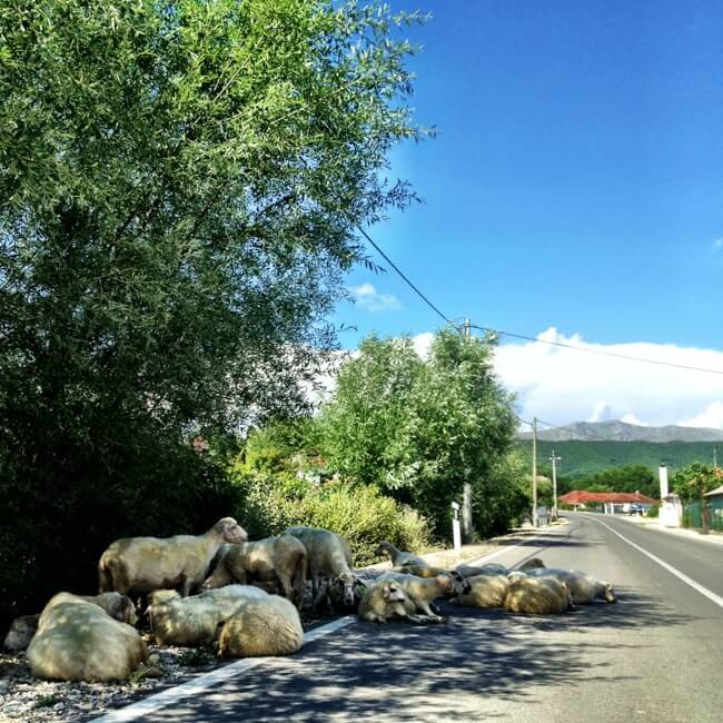 Driving obstacles in Montenegro