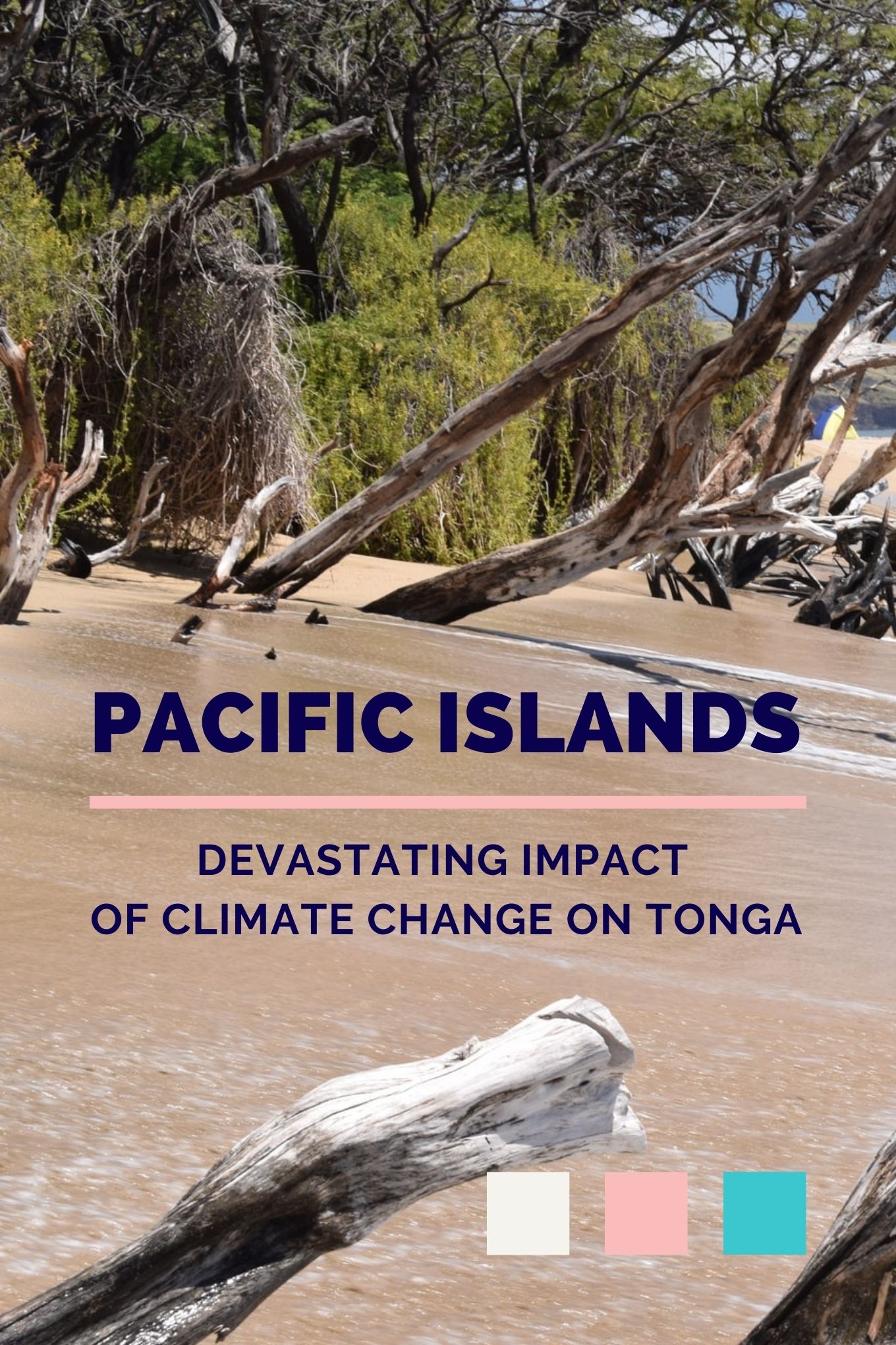 The sea rising up on a beach