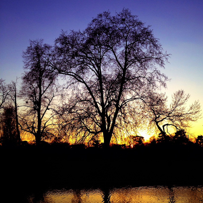 Bois de Boulogne Sunset - Paris, France