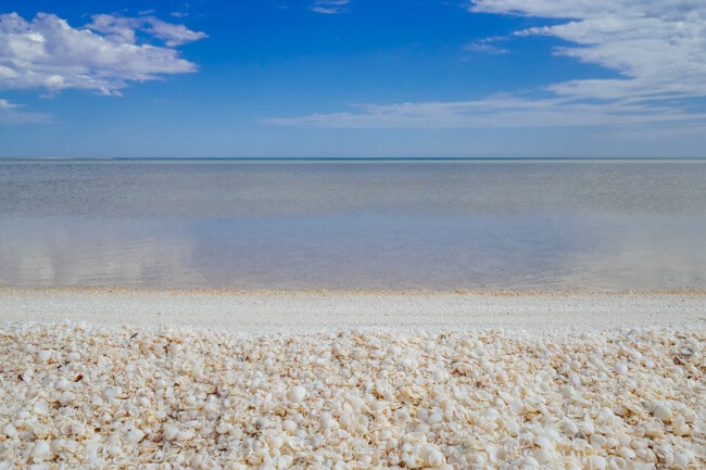 Shell Beach Shark Bay