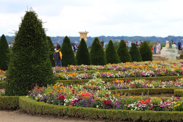 Flowers and Tourists