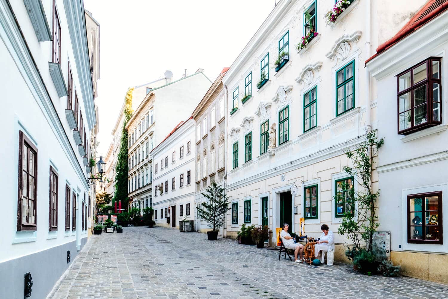 I love Vienna so much